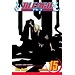 Bleach, Vol. 15 - Softcover