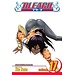 Bleach, Vol. 17 - Softcover