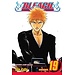 Bleach, Vol. 19 - Softcover