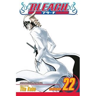 Bleach, Vol. 22 - Softcover