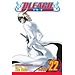 Bleach, Vol. 22 - Softcover