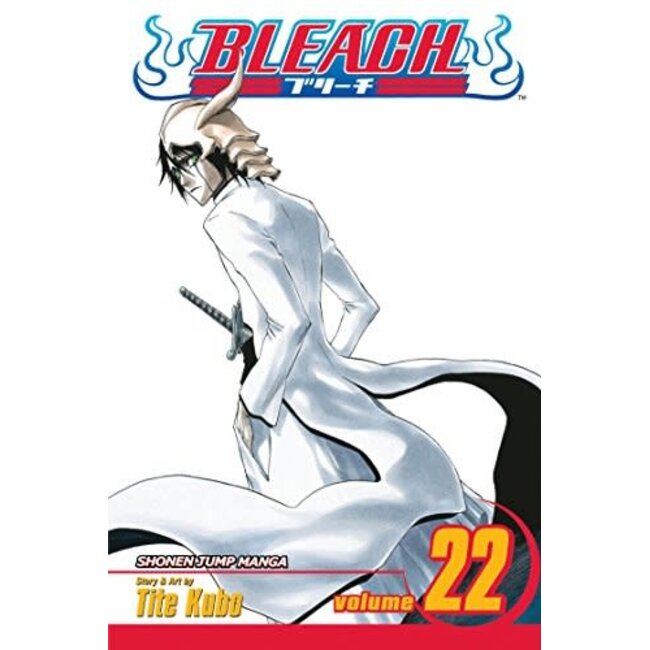 Bleach, Vol. 22 - Softcover