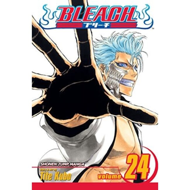 Bleach, Vol. 24 - Softcover