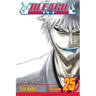 Bleach, Vol. 25 - Softcover