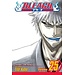 Bleach, Vol. 25 - Softcover