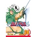 Bleach, Vol. 34 - Softcover