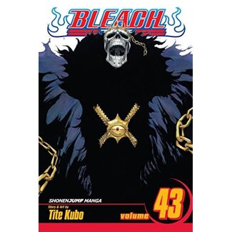 Bleach, Vol. 43 - Softcover
