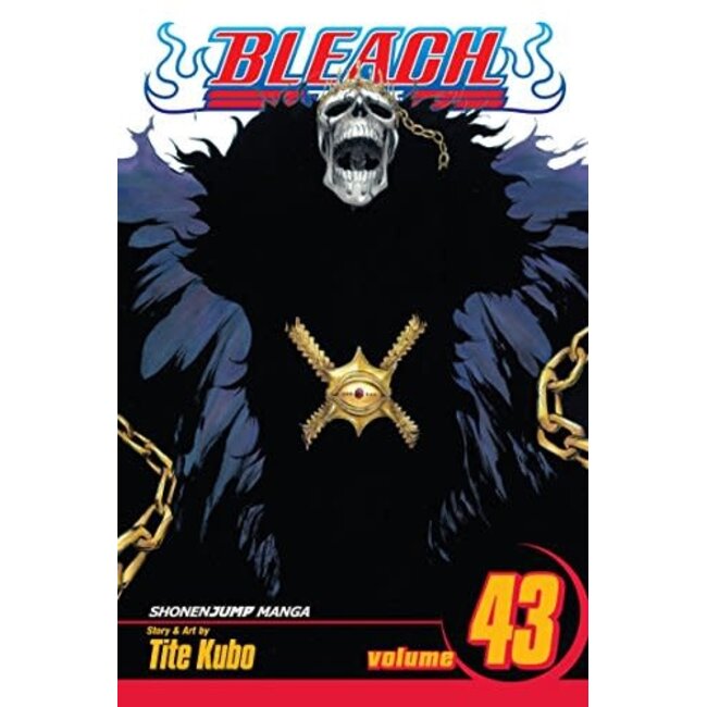 Bleach, Vol. 43 - Softcover