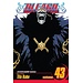 Bleach, Vol. 43 - Softcover