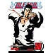 Bleach, Vol. 49: The Lost Agent - Softcover