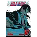 Bleach, Vol. 57: Out of Bloom