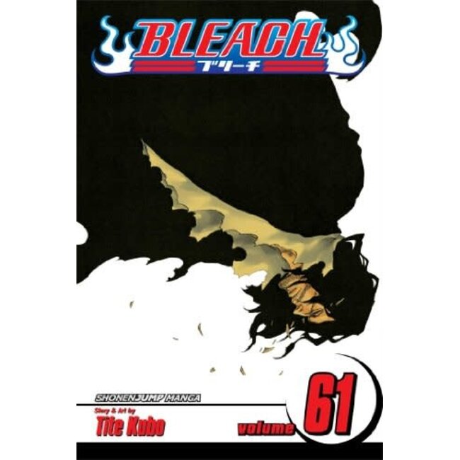 Bleach, Vol. 61: The Last 9 Days - Softcover