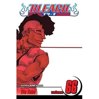 Bleach, Vol. 66: Sorry I Am Strong - Softcover