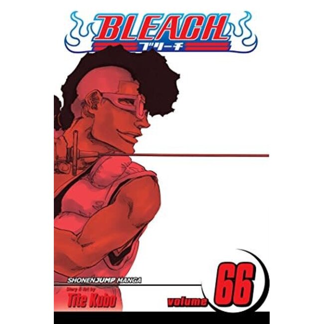 Bleach, Vol. 66: Sorry I Am Strong - Softcover
