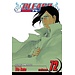 Bleach, Vol. 72: My Last Words