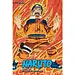 Naruto (3-in-1 Edition), Vol. 9 By Masashi Kishimoto