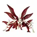 Bandai/Namco Bandai Spirits - Naruto Shippuden - Naruto Uzumaki Nine Tails Rampage Masterlise Ichibansho Figure
