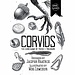 CORVIDS (UPGRADED EDITION)