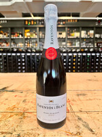 Raventos i Blanc Conca del Riu Anoia Blanc de Blancs Sparkling - 750 ML