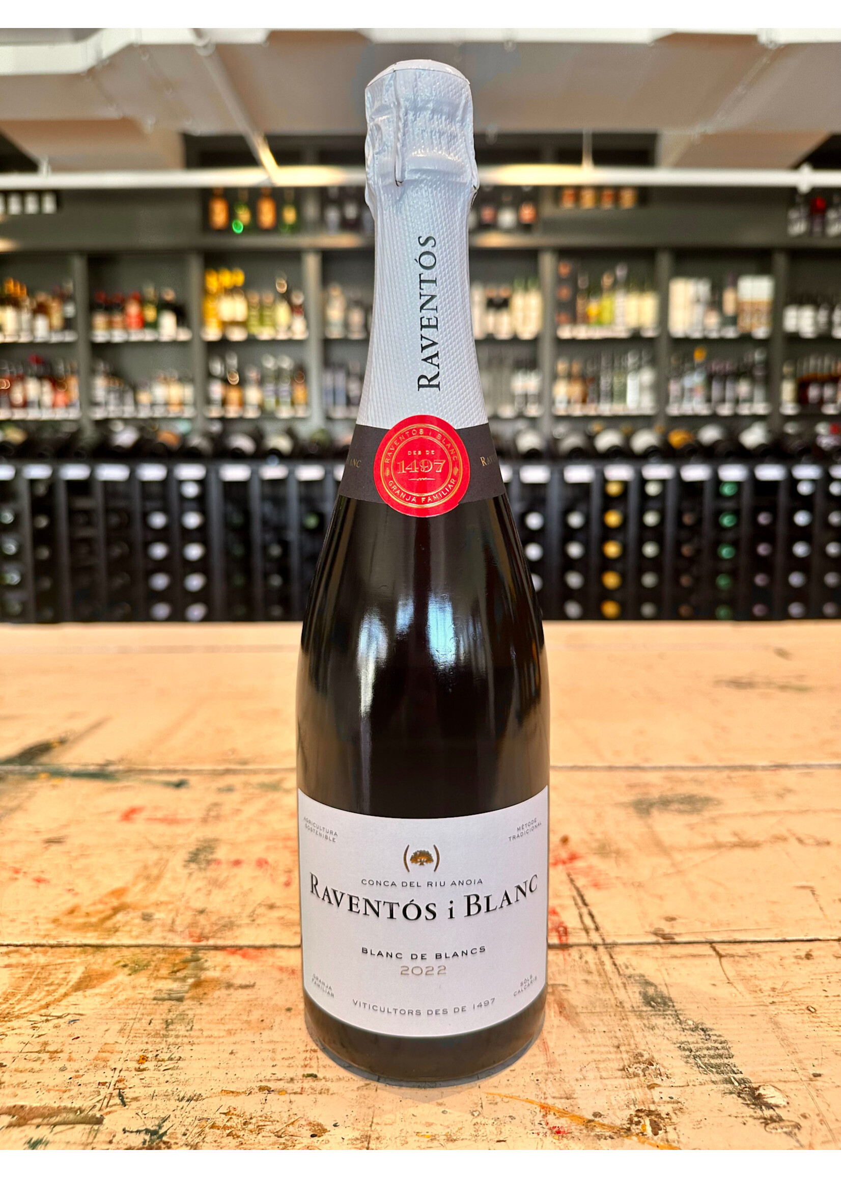 Raventos i Blanc Conca del Riu Anoia Blanc de Blancs Sparkling - 750 ML
