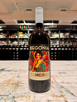 Begonia Sangria - 1 Liter