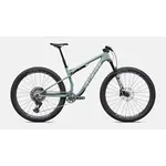 Specialized EPIC 9 EXPERT AGVE/METWHTSIL L