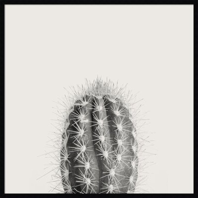 Framed Art Print 'Haze Cactus Succulent Tall' By The Creative Bunch Studio Size: 40.38" H x 40.38" W x 0.875" D, Format: Noir Black Framed