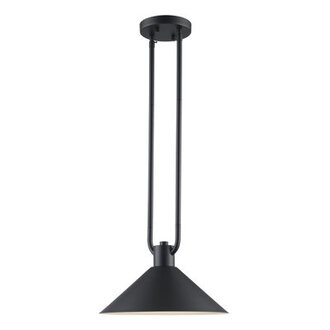 Fayra Industrial Pendant Finish: Black, Size: 10.25" H x 12" W x 12" D