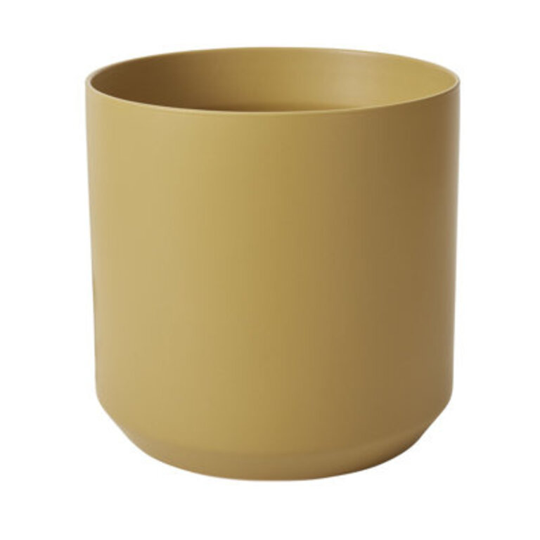 Shamar Sampson Pot Size: 5.75" H x 5.25" W x 5.25" D