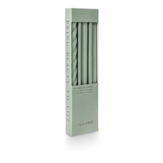 ILLUME Beautifully Done Unscented Assorted Candle Tapers 3-Pack Color: Hinoki Sage