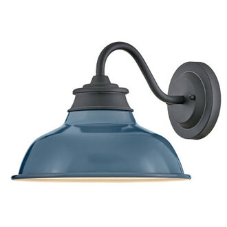 Longshore Tides Wallace Gooseneck Barn Light Fixture Finish: Museum Black/Denim Blue
