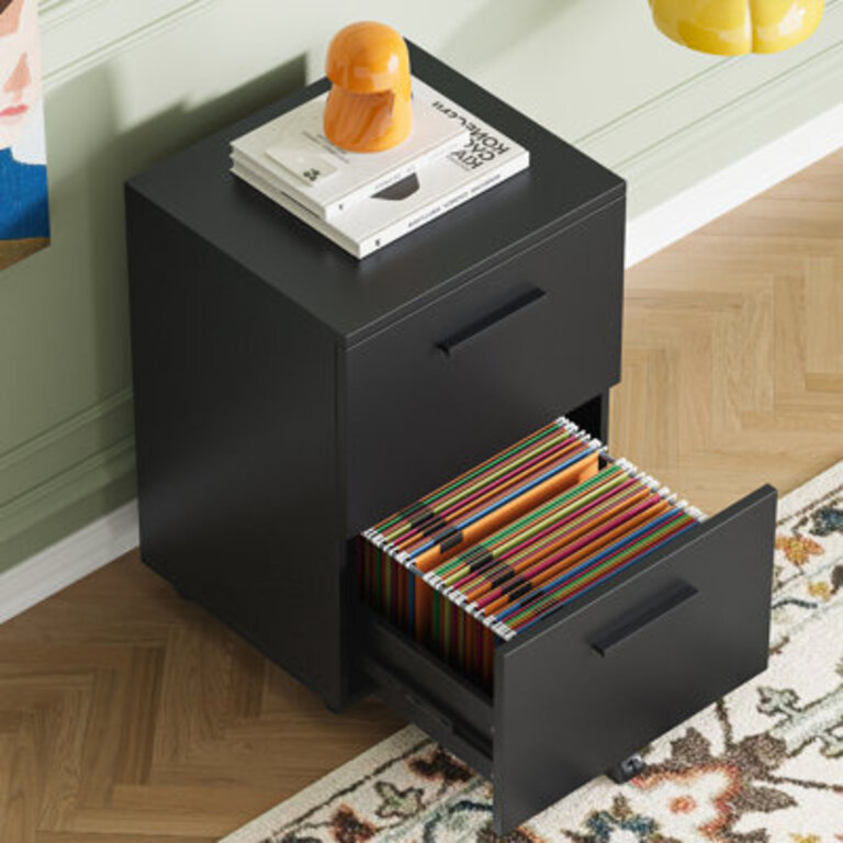 Derrykillultagh 16.1'' Wide 2 -Drawer File Cabinet Color: Black