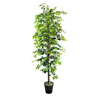 120 Artificial Ficus Tree in Pot