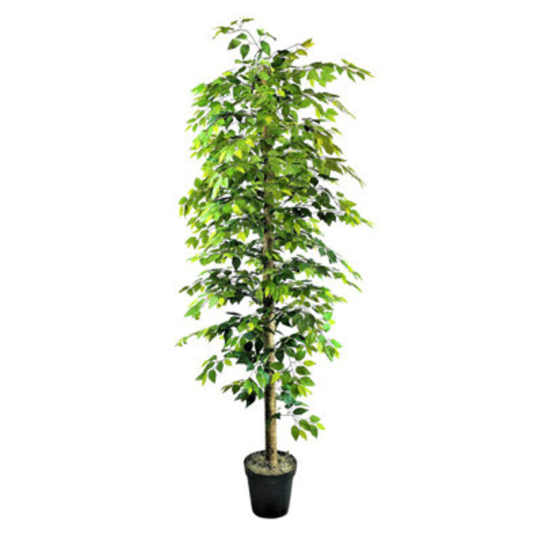 120 Artificial Ficus Tree in Pot