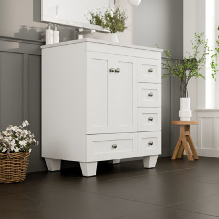 Eviva Happy 30"W x 18"D Bathroom Vanity with Undermount Porcelain Sink Base