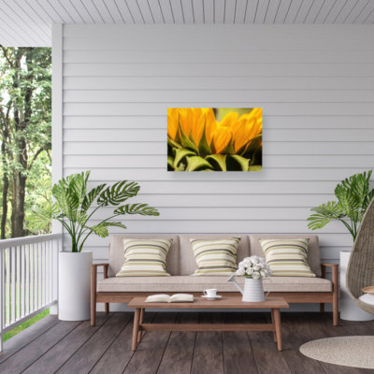 Plants  Flowers Wall Decor