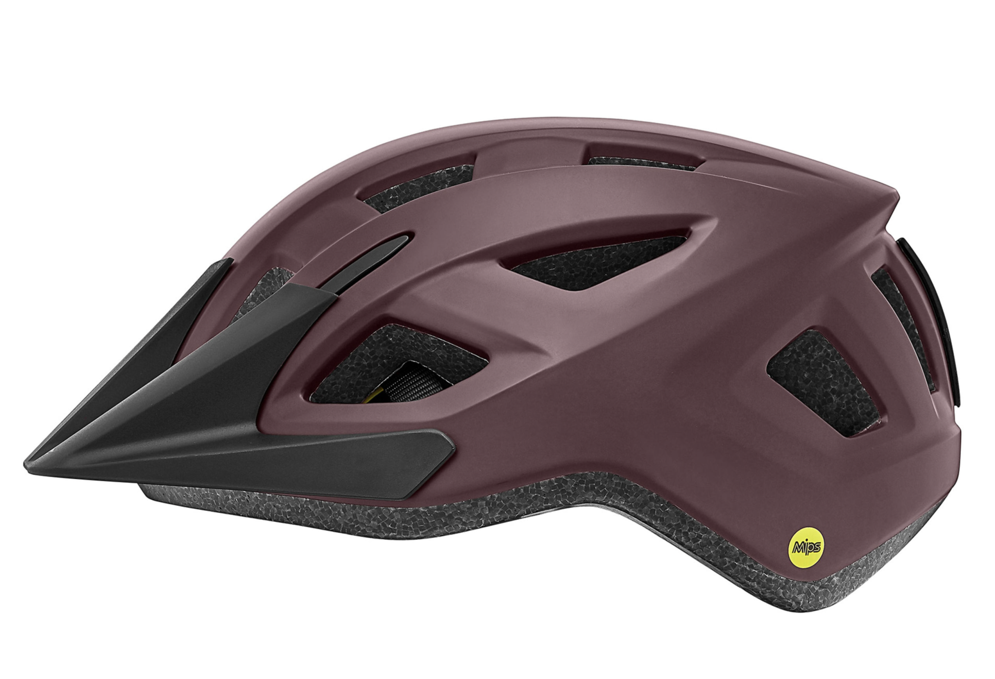 Liv Path Helmet