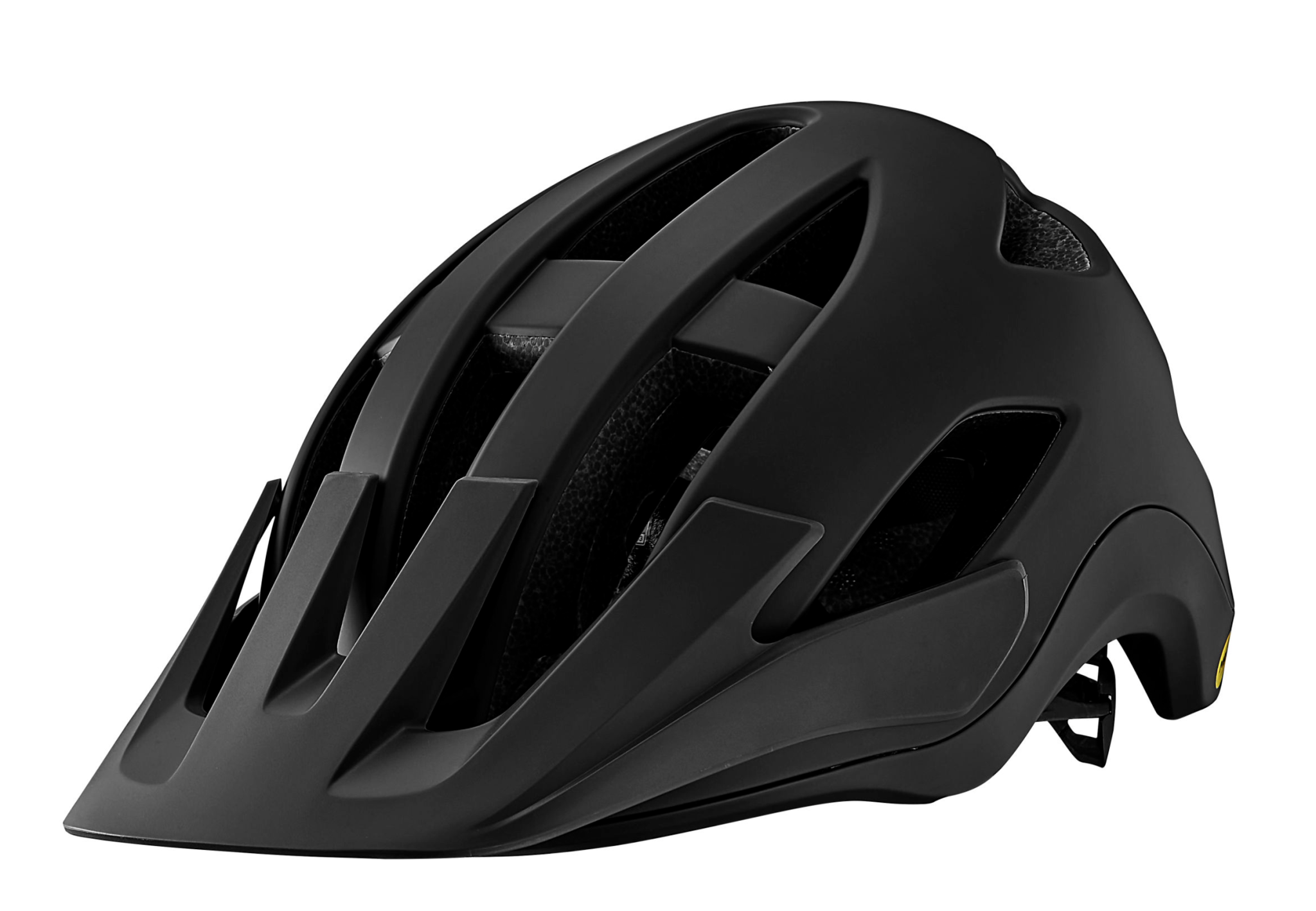 Liv ROOST MATTE PANTHER