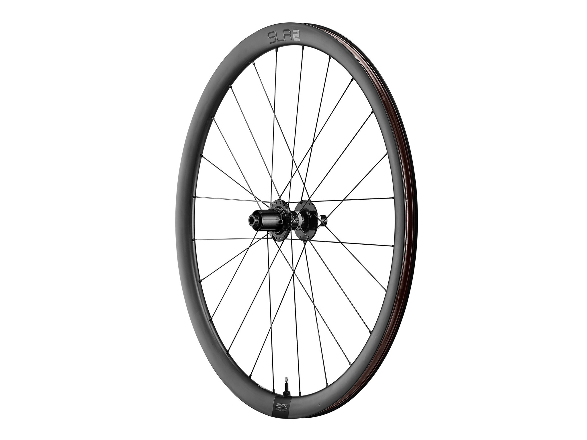 Giant SLR 2 36, Disc, Tubeless