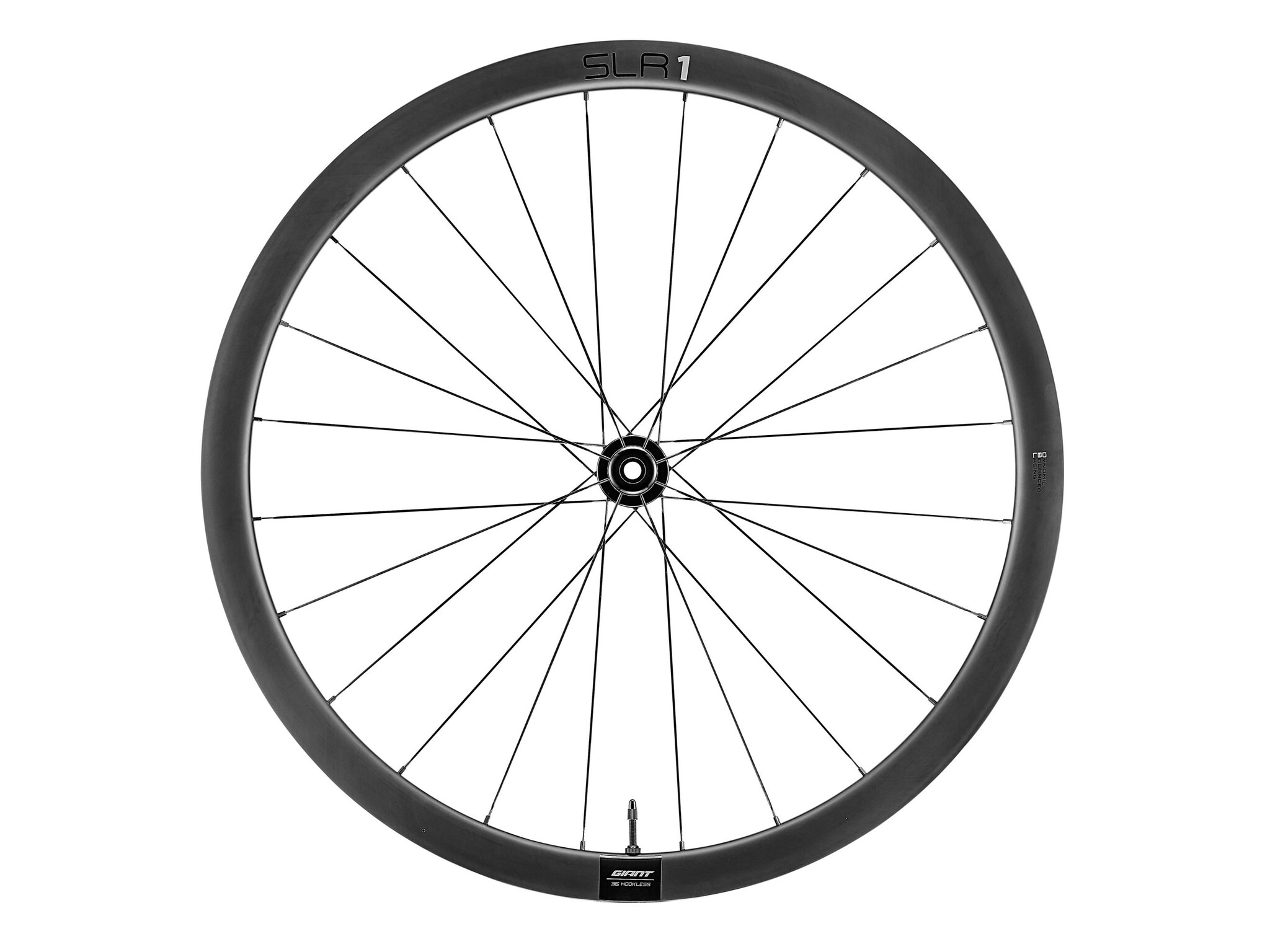 Giant SLR 1 36, Disc, Tubeless
