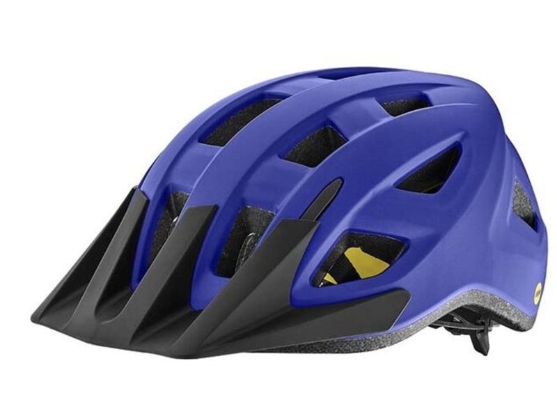 Giant Path Matte ARX Sapphire S/M