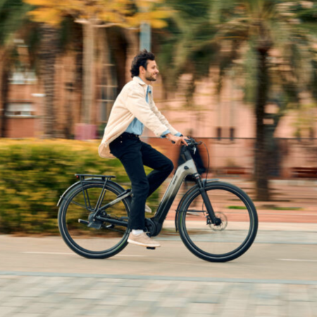 Electric Bikes