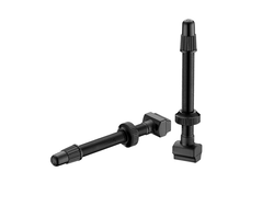 Giant LIGHT WEIGHT TUBELESS VALVE STEM X 2