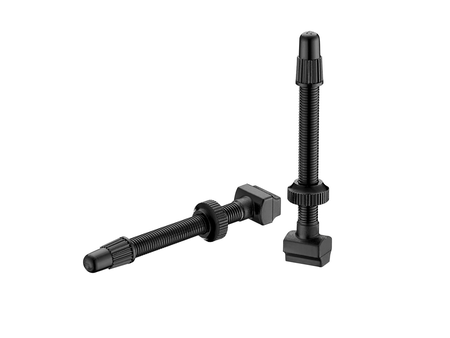 Giant LIGHT WEIGHT TUBELESS VALVE STEM X 2