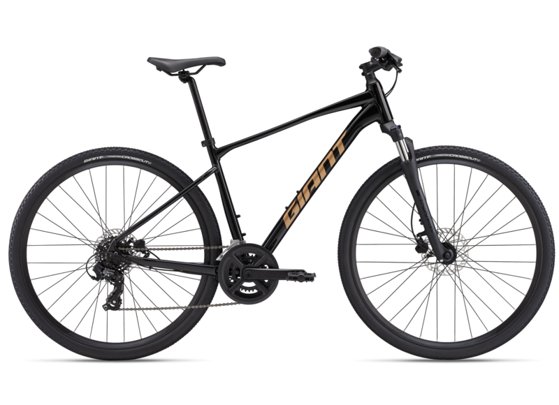 Giant Roam 4