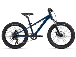 Giant STP 20 FSBlue Palace