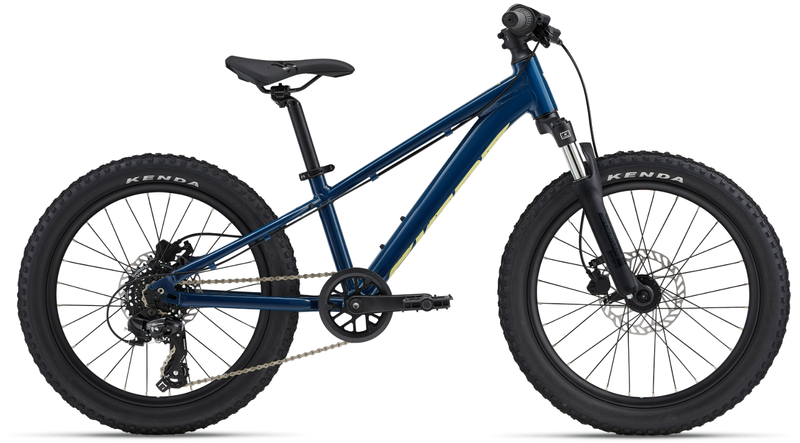 Giant STP 20 FSBlue Palace