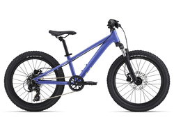 Liv STP 20 FS (Liv) Dusted Peri OSFM