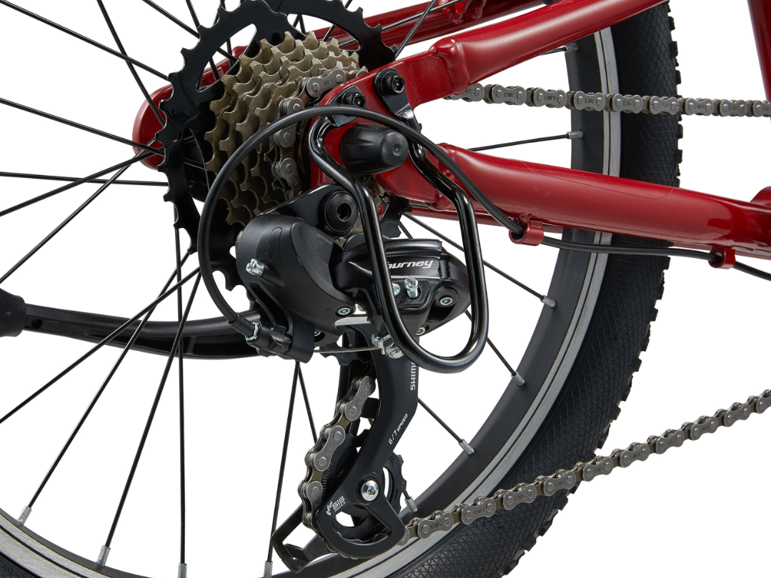 Tempt 20 Lite OSFM Dried Chilli