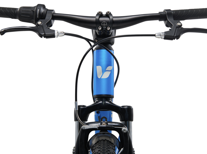 Liv 25 Tempt 20 Blue